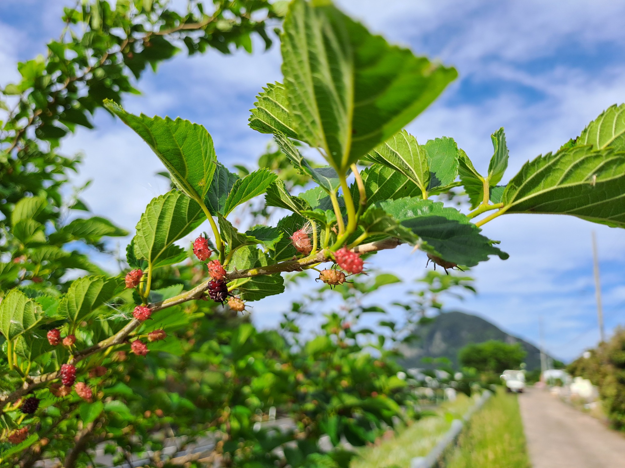 여름 건강 식단 운동