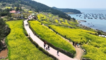 청산도