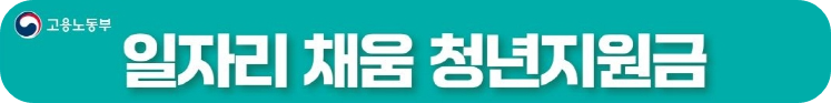 일자리 채움 청년지원금