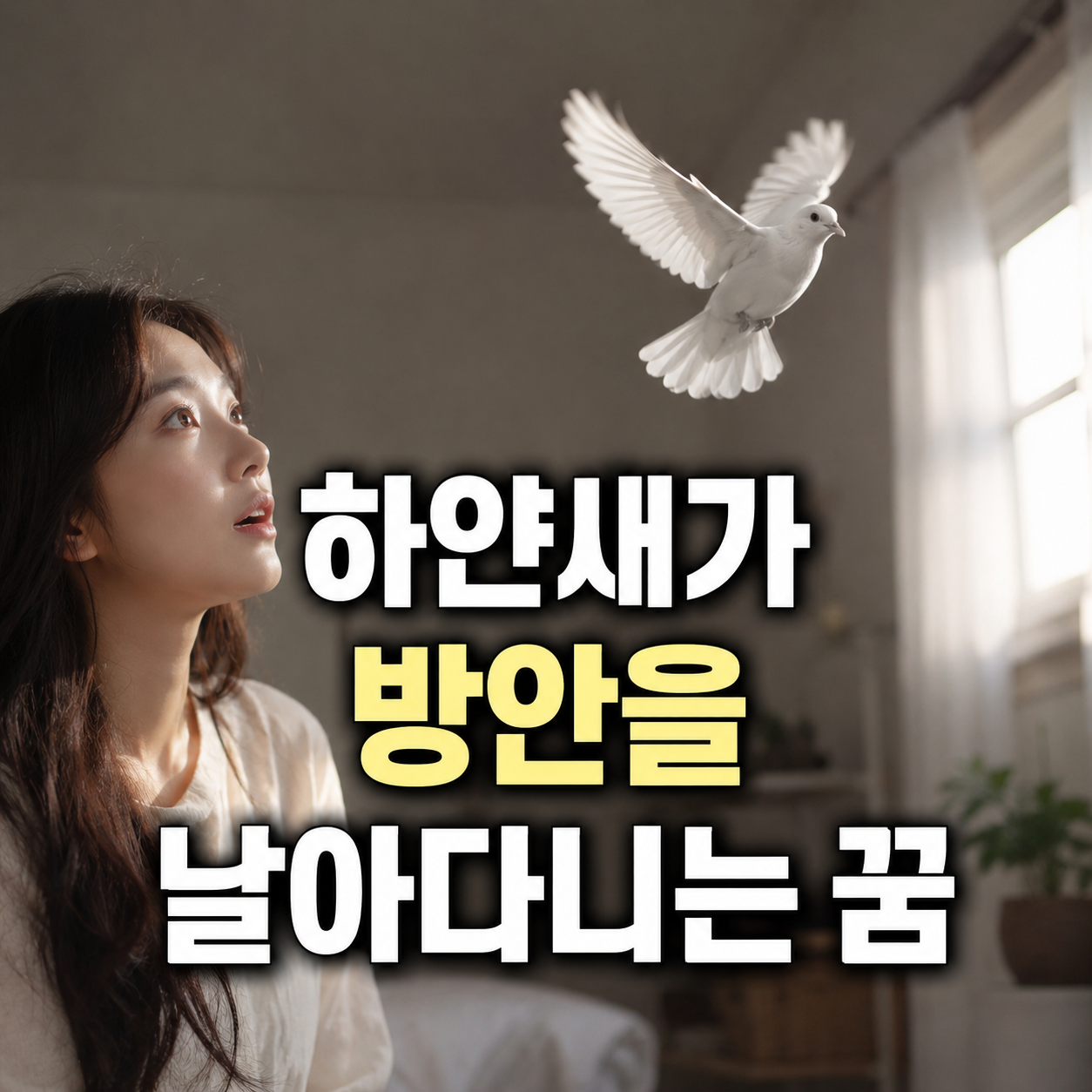 하얀새가 방안을 날아다니는 꿈