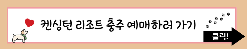 국제 강아지의 날&#44; 사지 말고 입양하세요