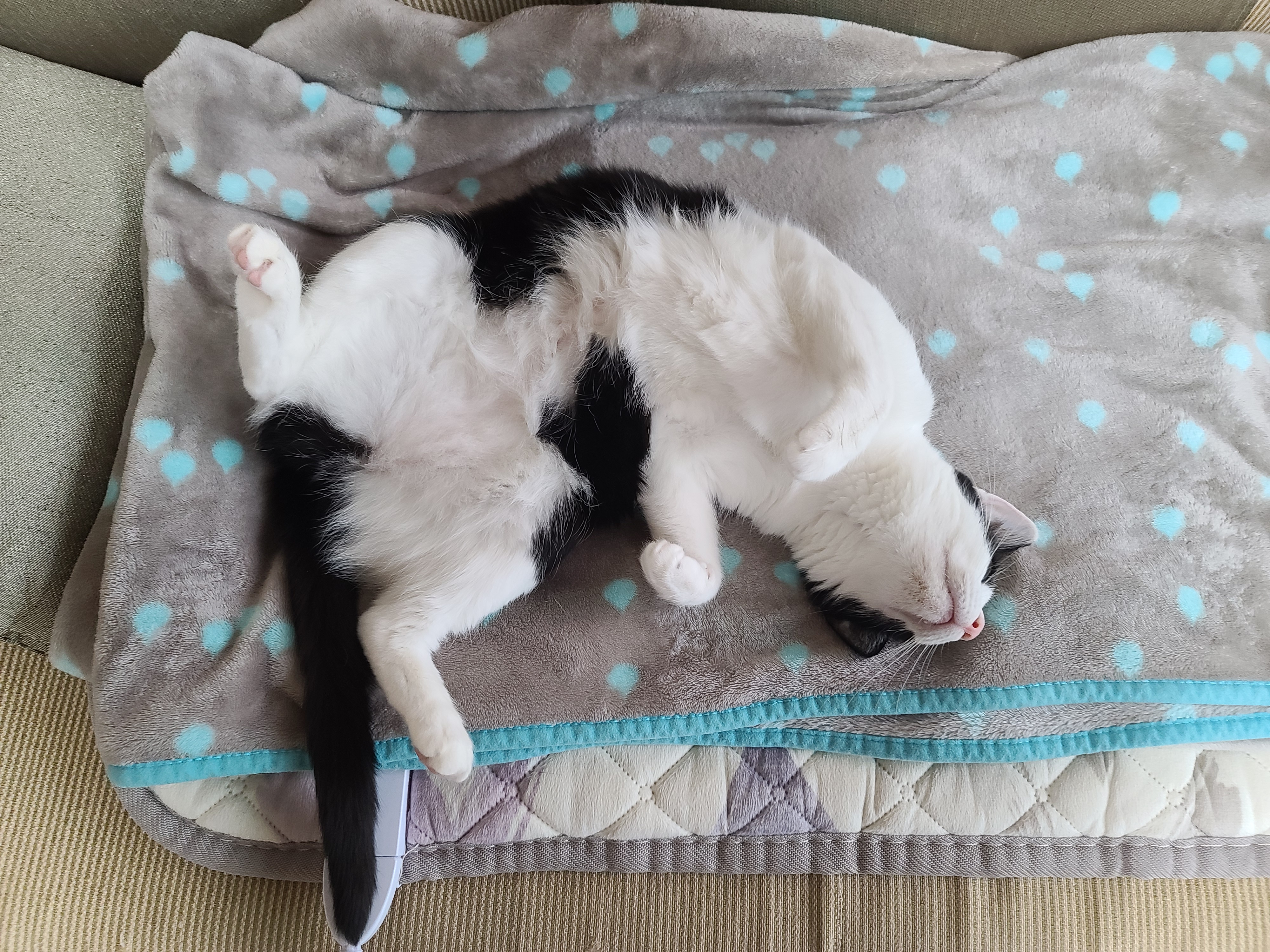 엄마랑 둘이 있어 기분이 좋은 두리