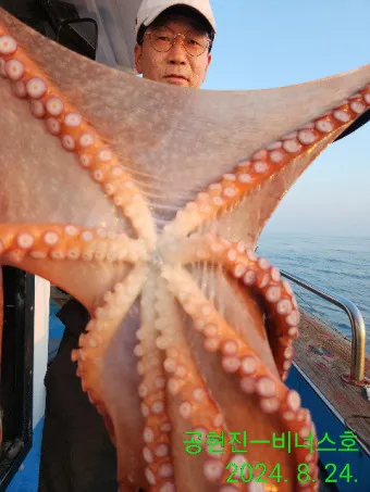 문어 삶는법 문어 요리 레시피_7