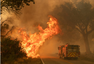 실시간 산불정보 확인