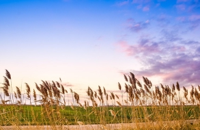 보건증_인터넷_발급_재발급 방법_3