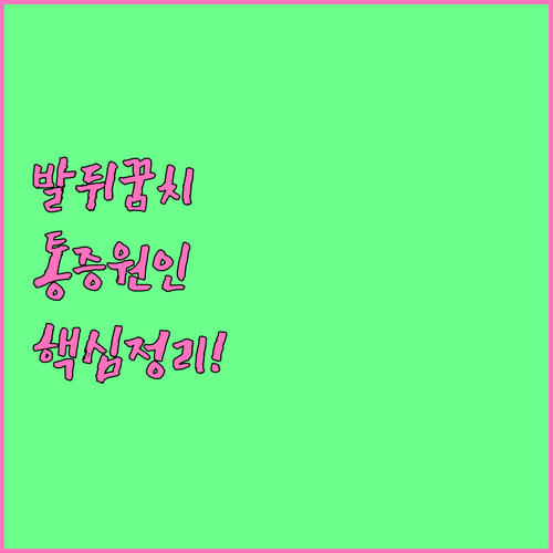 발뒤꿈치 통증의 정확한 위치와 원인 ..