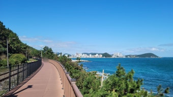 2025 부산온나청년패스 신청방법 및 할인혜택 총정리