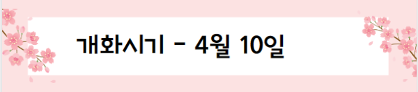 봄꽃 여행지