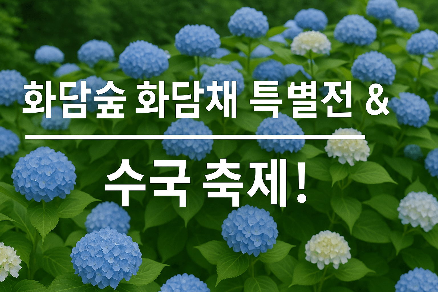 🌿 2025 화담숲 화담채 특별전 – 자연과 예술, 분재 & 수국 축제!