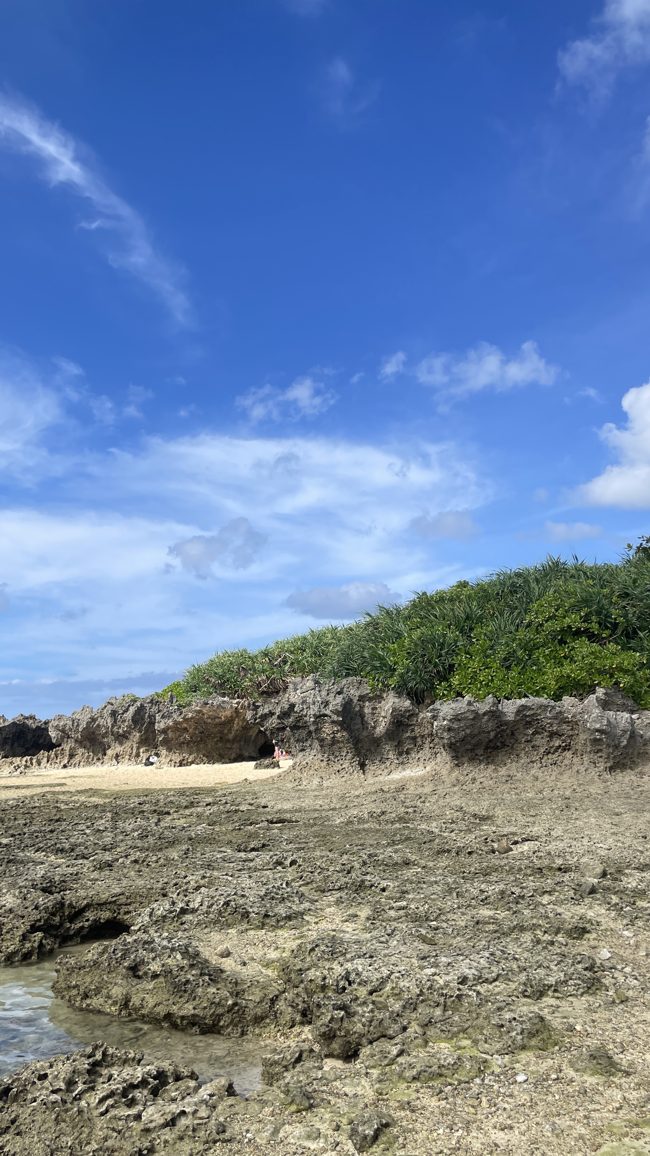 오키나와 비세자키해변