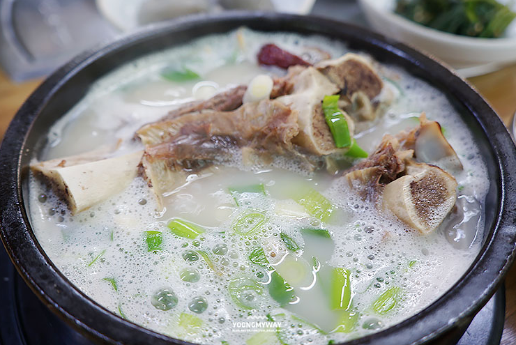 6시내고향 경북 영주 풍기인삼 엑스포 특집 전국 택배 가능 인삼 왕 갈비탕 맛집 추천