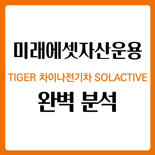 TIGER 차이나전기차 SOLACTIVE