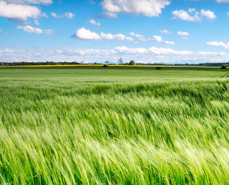 농작물 재해보험 보험금 청구: 구체적인 방법과 절차 안내