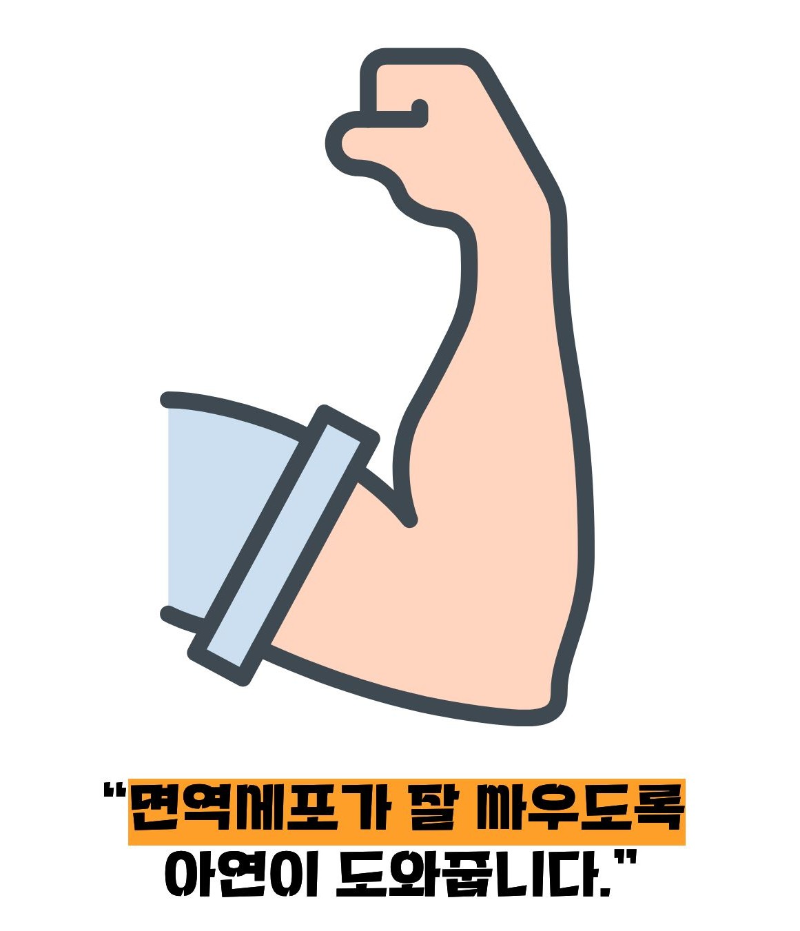아연 효능