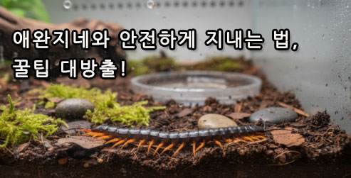 애완지네와 안전하게 지내는 법, 꿀팁 대방출!