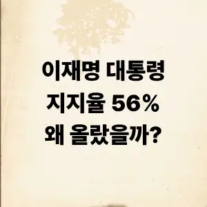 이재명 대통령 지지율