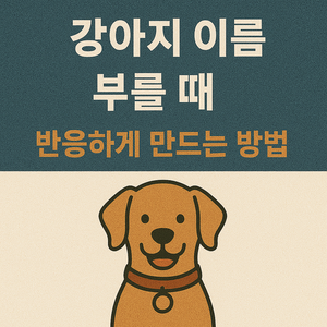 강아지가 이름에 반응하게 하는 꿀팁