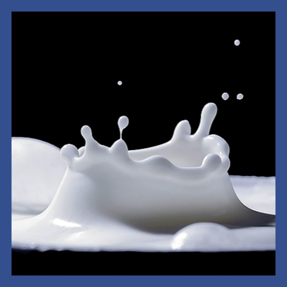 매일유업-회수-세척수-제품