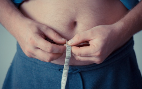 아르기닌 비만관리