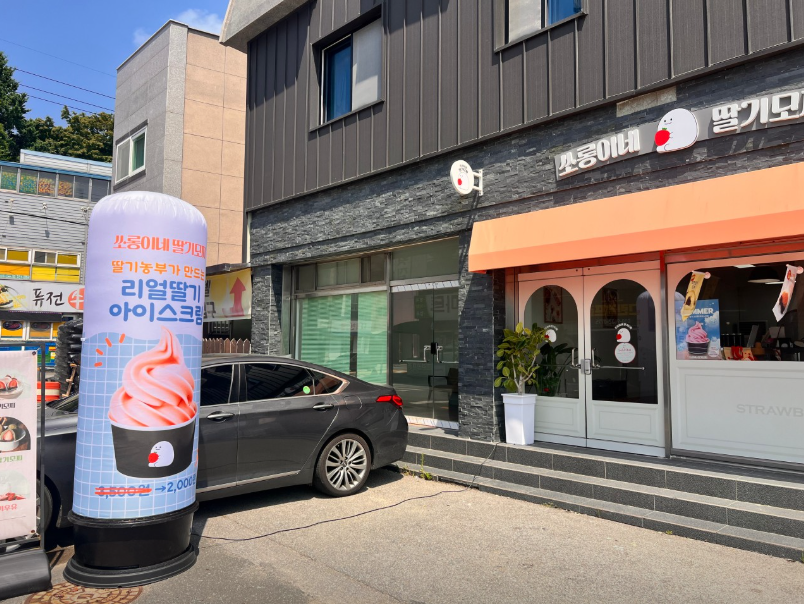 6시내고향 딸기찹쌀떡 과일찹쌀떡 과일모찌 딸기모찌 감귤찹쌀떡 청포도찹쌀떡 녹차딸기찹쌀떡 전남 보성 쏘롱이네딸기모찌 가격 및 구매방법