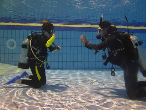 얕은수심에서 다이빙 교육받는 사진