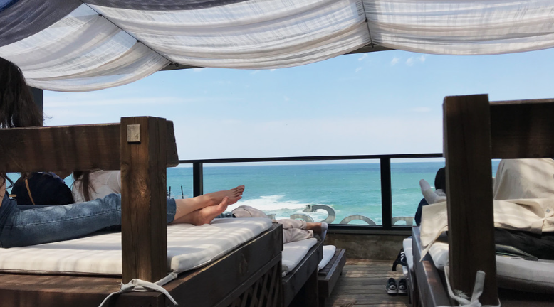 강원도 자연 속 카페 관련, 보사노바 강릉점 카페