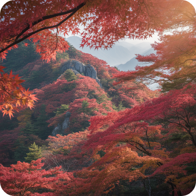 2025 지리산 단풍명소 &amp; 단풍절정시기 이미지