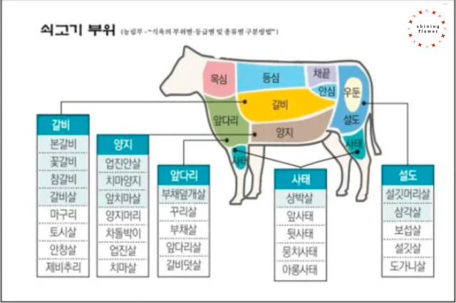 쇠고기부위-나무위키 참조
