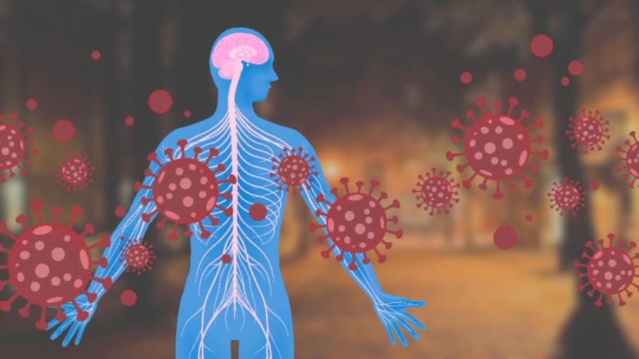 활성산소, 우리 몸의 빌런! 노화·피로·질병의 시작점 관련 사진