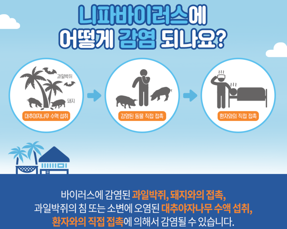 니파바이러스 감염