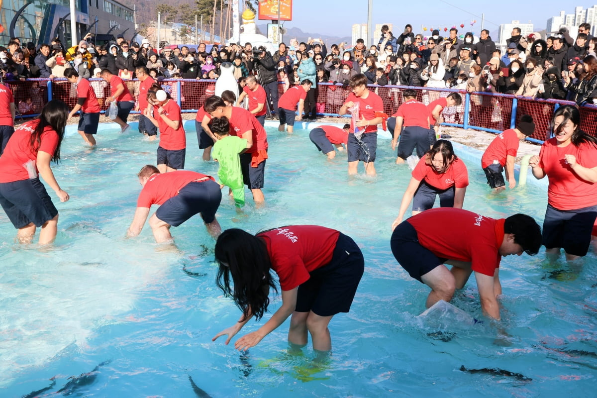 2025 평창 송어축제 예약