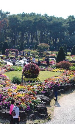 벽초지 수목원 가을꽃 국화축제에는 동양과 서양의 모습을 모두 볼 수 있는 수목원입니다