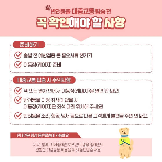 반려동물대중교통