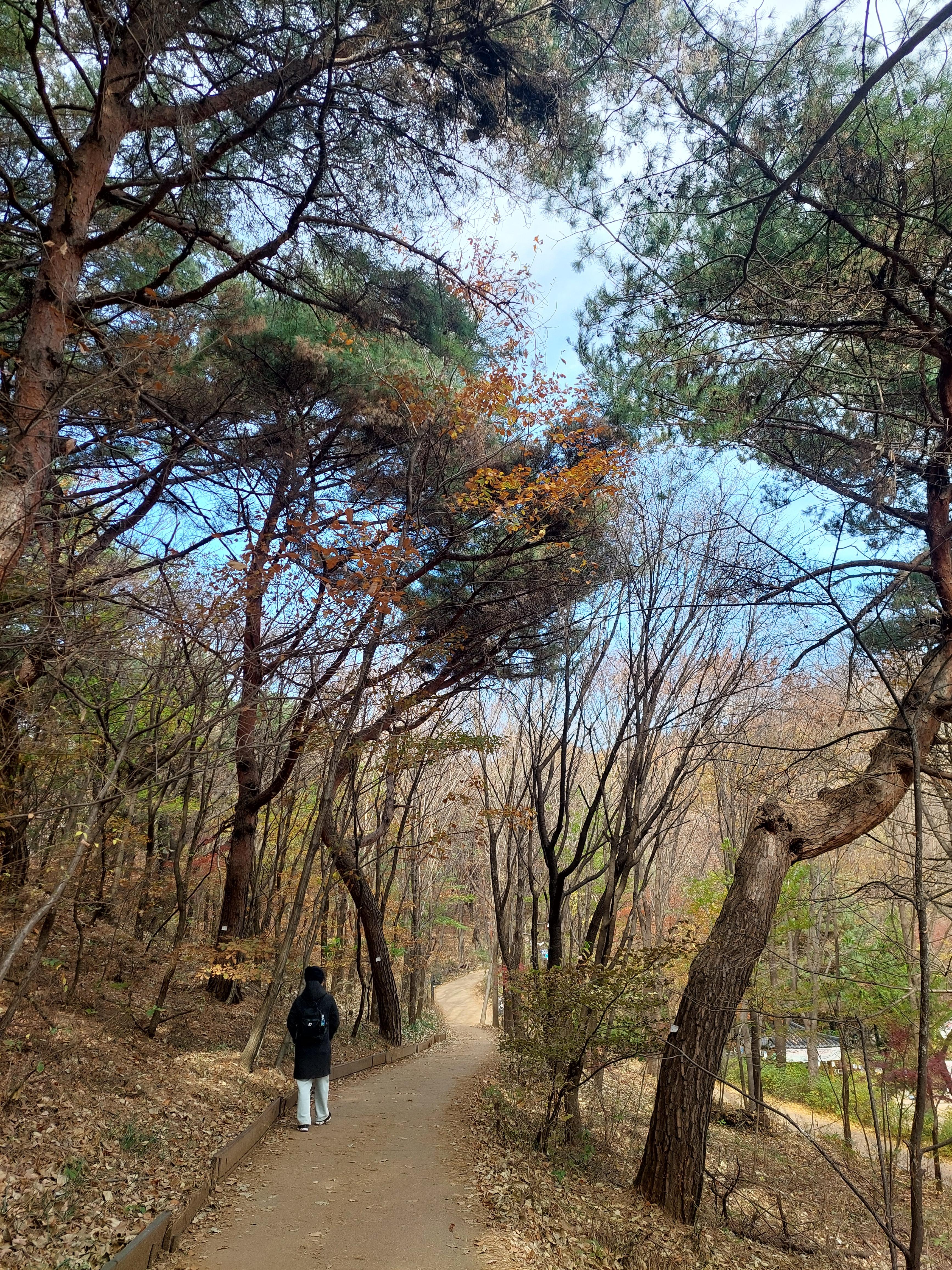 안산