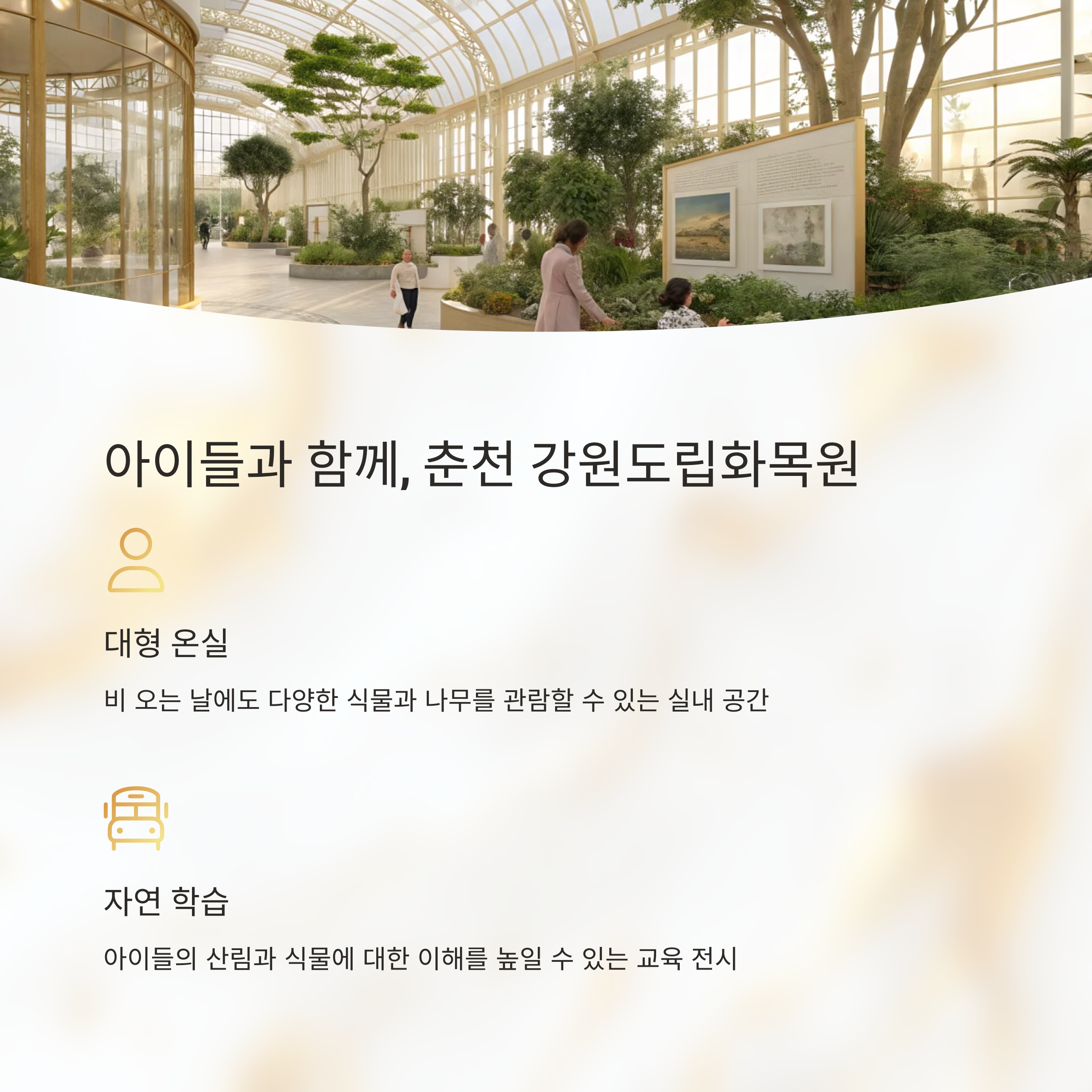 장마철에도 즐기는 강원도 실내 여행지 추천 TOP 7