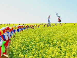 5월 강추 꽃 축제