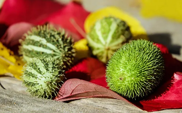 오이무침 레시피 재료 비율 황금 조합 소개_4