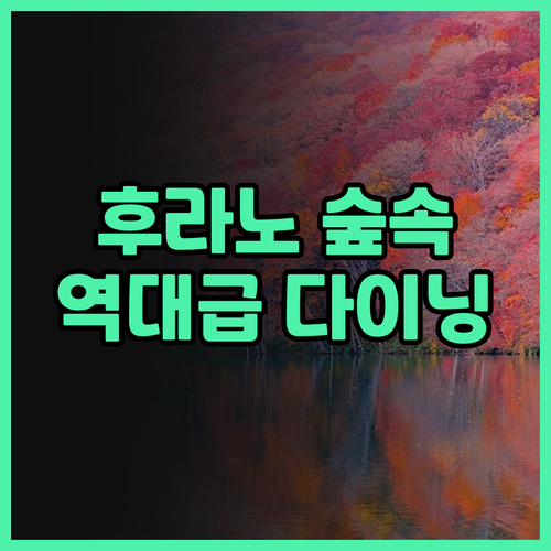 후라노 호텔 추천 압도적인 숲속 경관..
