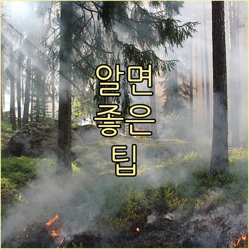 신한은행 해외송금 가이드: 빠르고 안