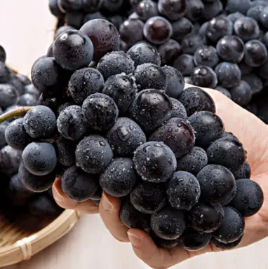 hdl-콜레스테롤-높이는-방법-정상수치-건강