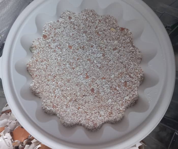 계란껍질 영양제