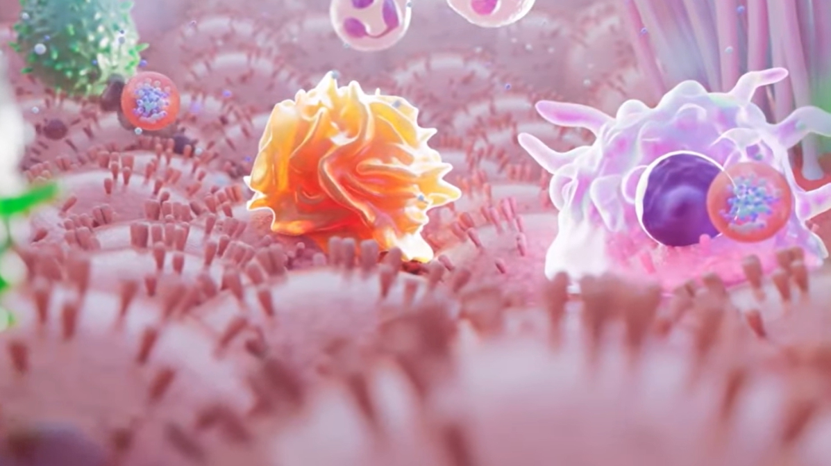 클라미디아 감염 경로