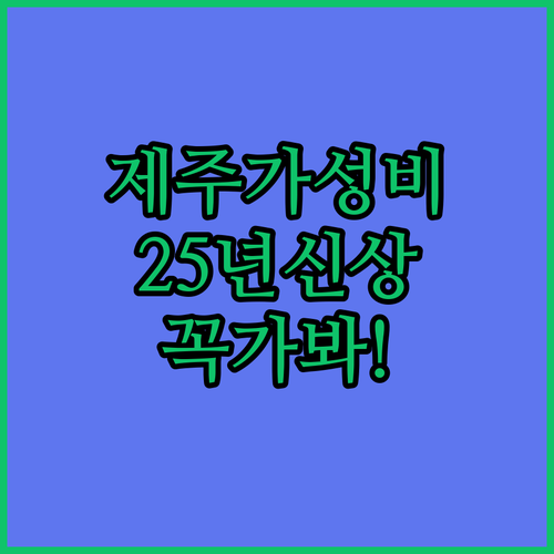 제주 시내 가성비 숙소 비교 및 20..