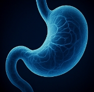 위에 좋은 음식