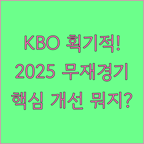 과거 규정 버린 KBO, 2025시즌..