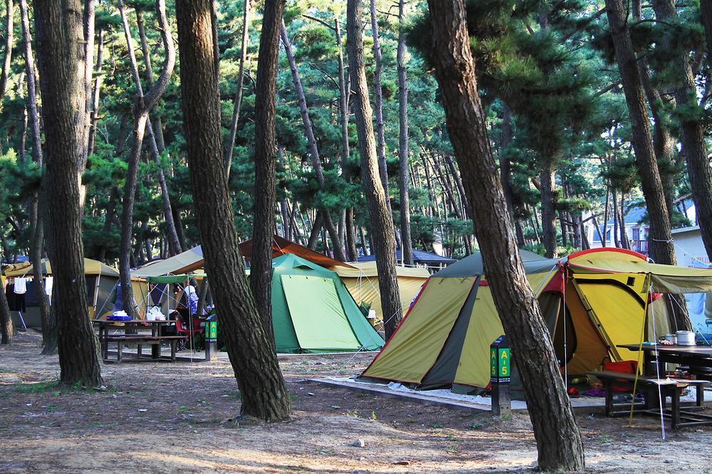 충청남도 태안군 몽산포 자동차야영장