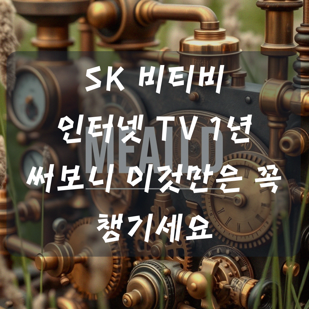 SK 비티비 인터넷 TV 1년 사용 후기, 뭘 알아야 할까