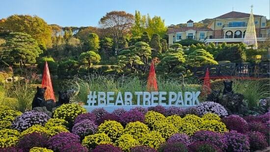 2025 세종 베어트리 단풍축제 일정 및 맛집, 주변여행지 사진