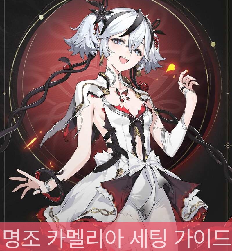 카멜리아의 대표 일러스트입니다.