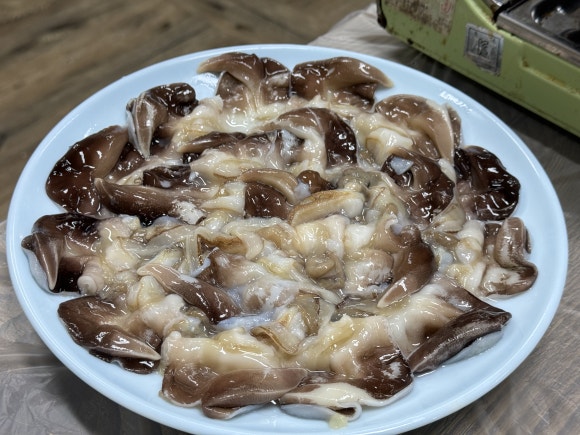 새조개